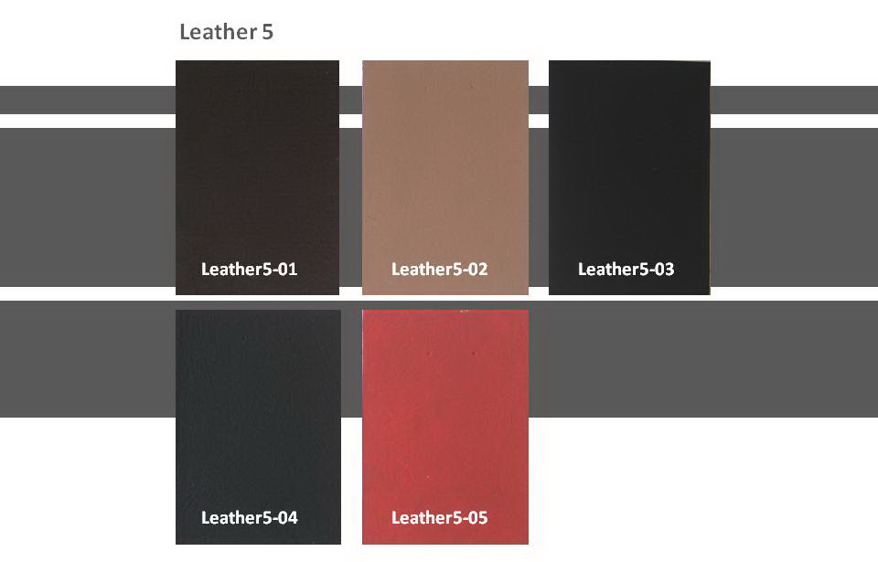 Leather Series Leather5
